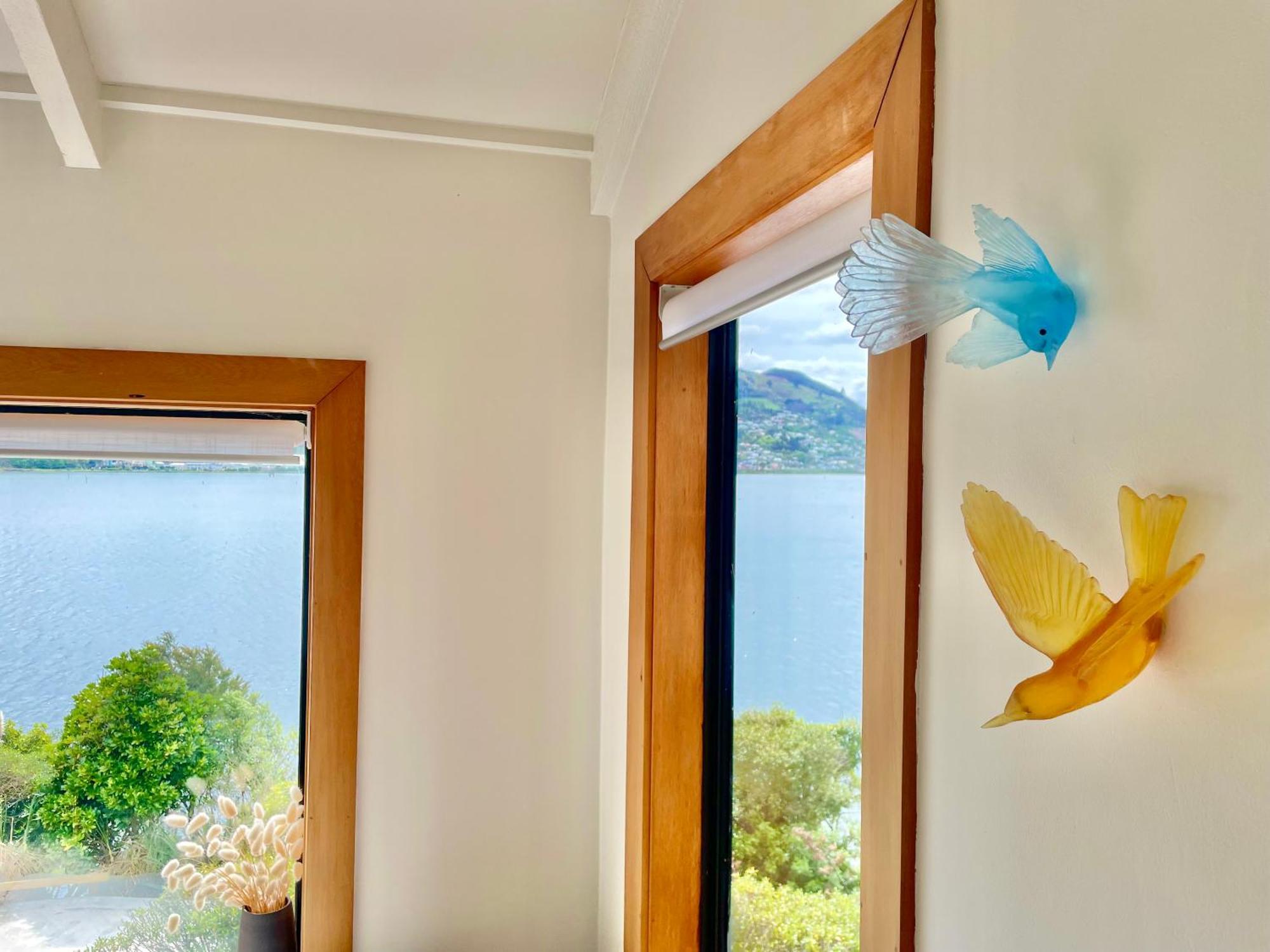 דנידין The Cove Cabin - Your Quiet Escape מראה חיצוני תמונה