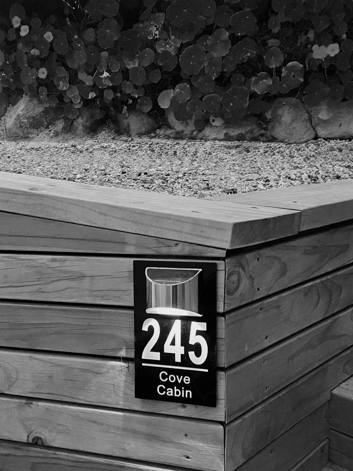 דנידין The Cove Cabin - Your Quiet Escape מראה חיצוני תמונה