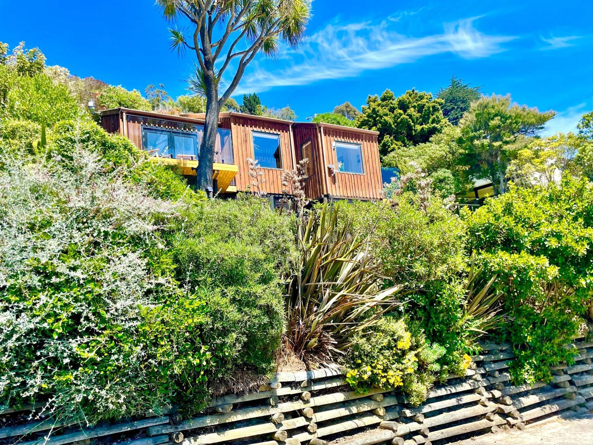 דנידין The Cove Cabin - Your Quiet Escape מראה חיצוני תמונה
